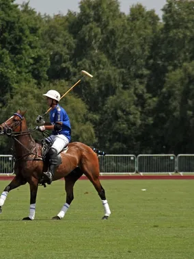 polo manica lunga